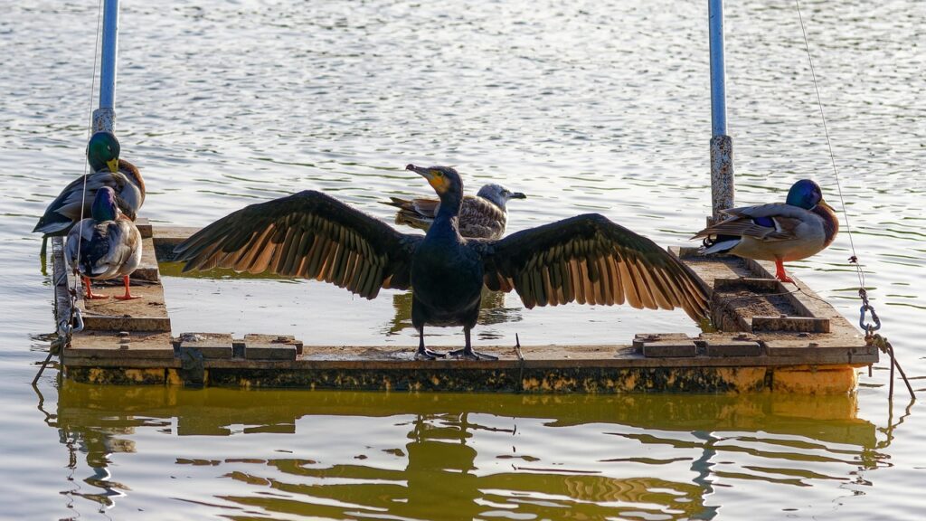 同棲生活における食費の平均はどのくらい？