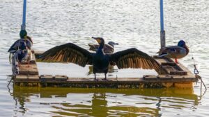 同棲生活費の分担の具体例は？