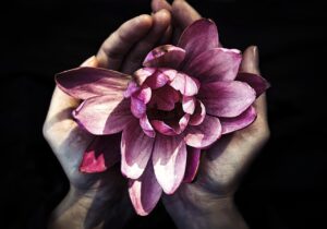 食費の同棲における平均はいくらですか？