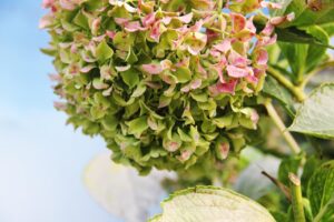 休日の過ごし方におすすめの同棲ルールとは？