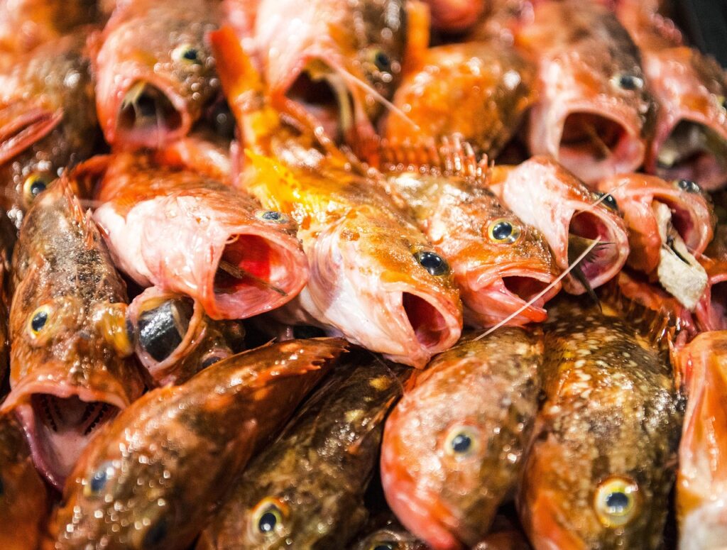 同棲を始めるための初期費用はどれくらいかかる？