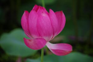 引っ越し時の初期費用を抑えるための同棲準備は？