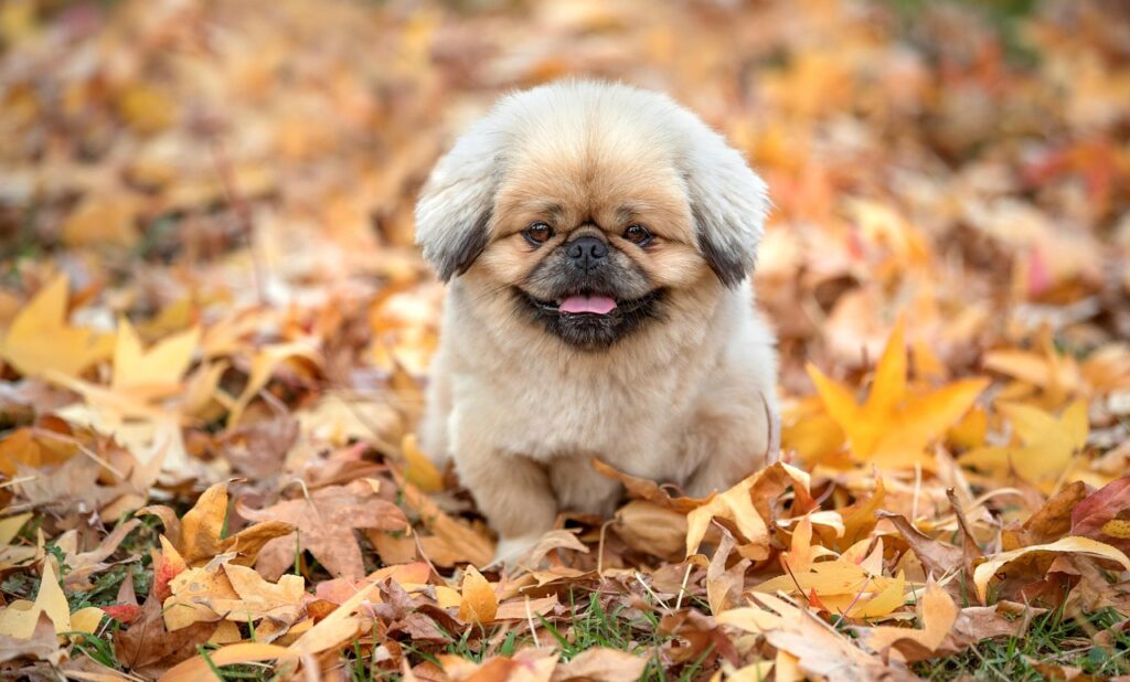 食費を抑えるための同棲生活のコツは？