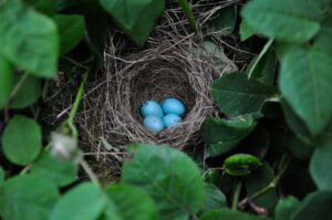 同棲生活における共同口座のメリットとは？