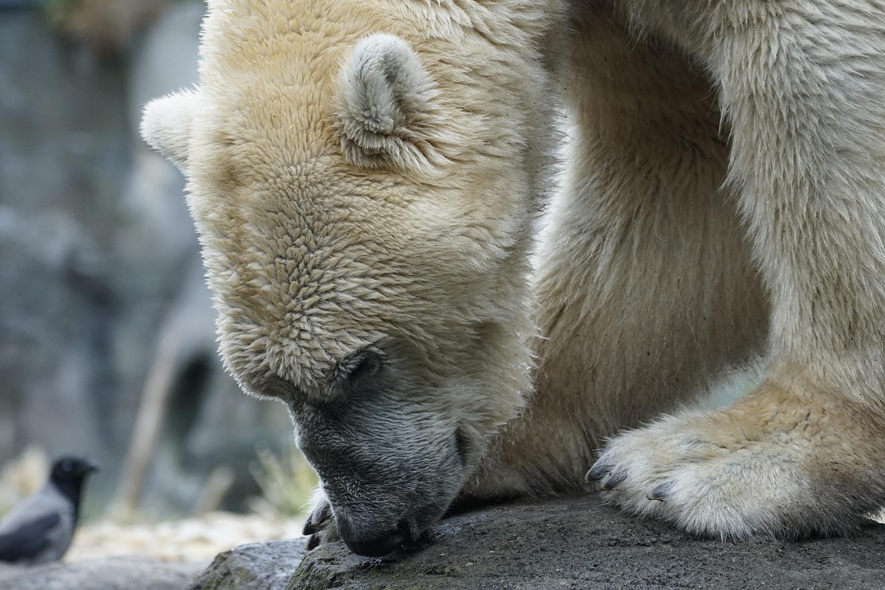 同棲の負担割合を決めるためのポイントは？