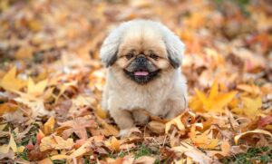 食費の平均は2人でどのくらいか知りたい？