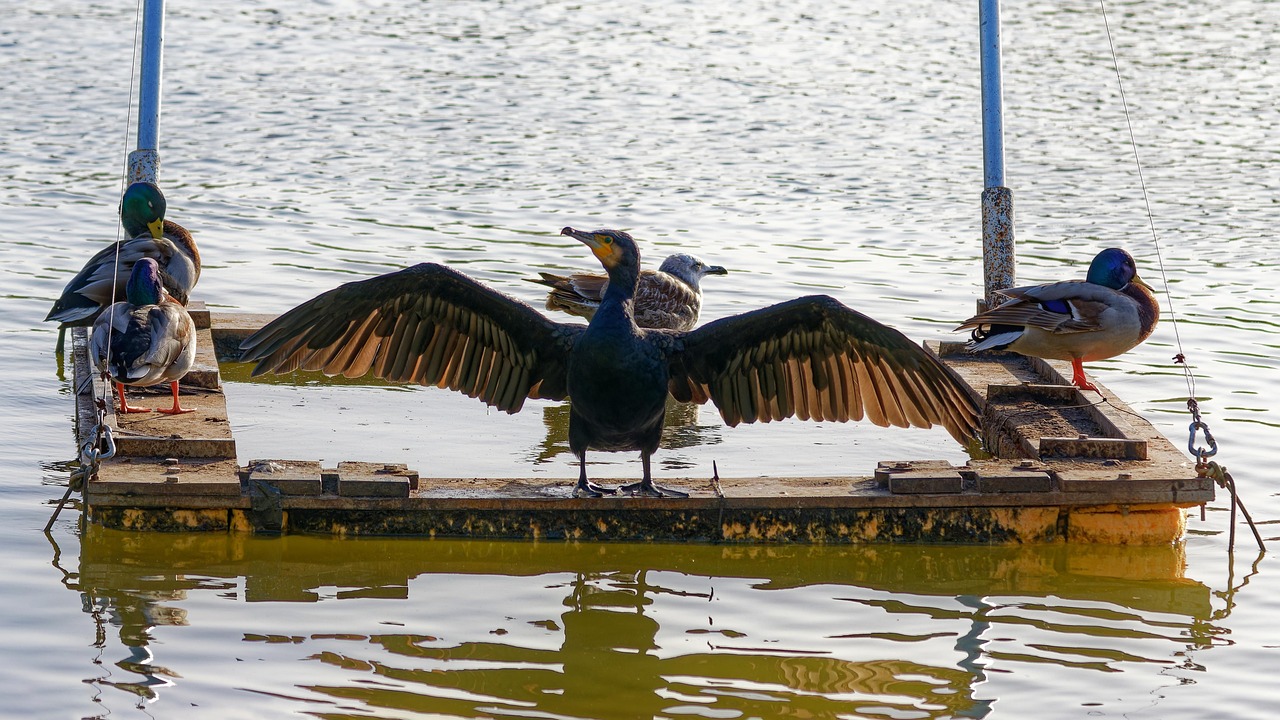 同棲生活を始める前に知っておくべき積立NISAのメリットは？