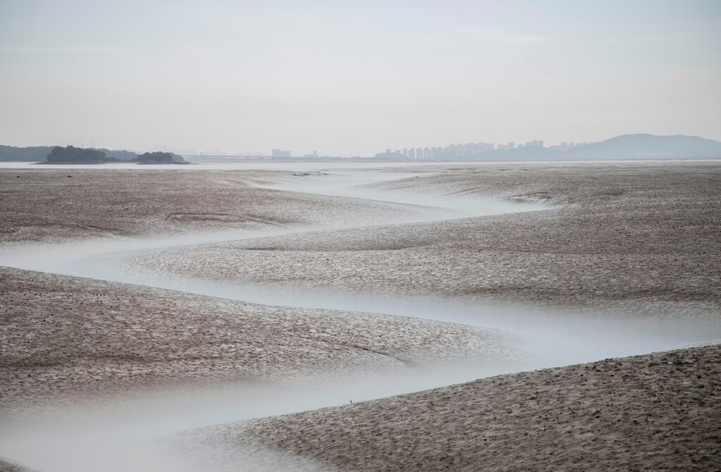 住信SBIネット銀行の目的別口座を利用した同棲生活のメリットは？