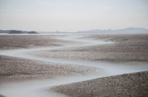 住信SBIネット銀行の目的別口座を利用した同棲生活のメリットは？