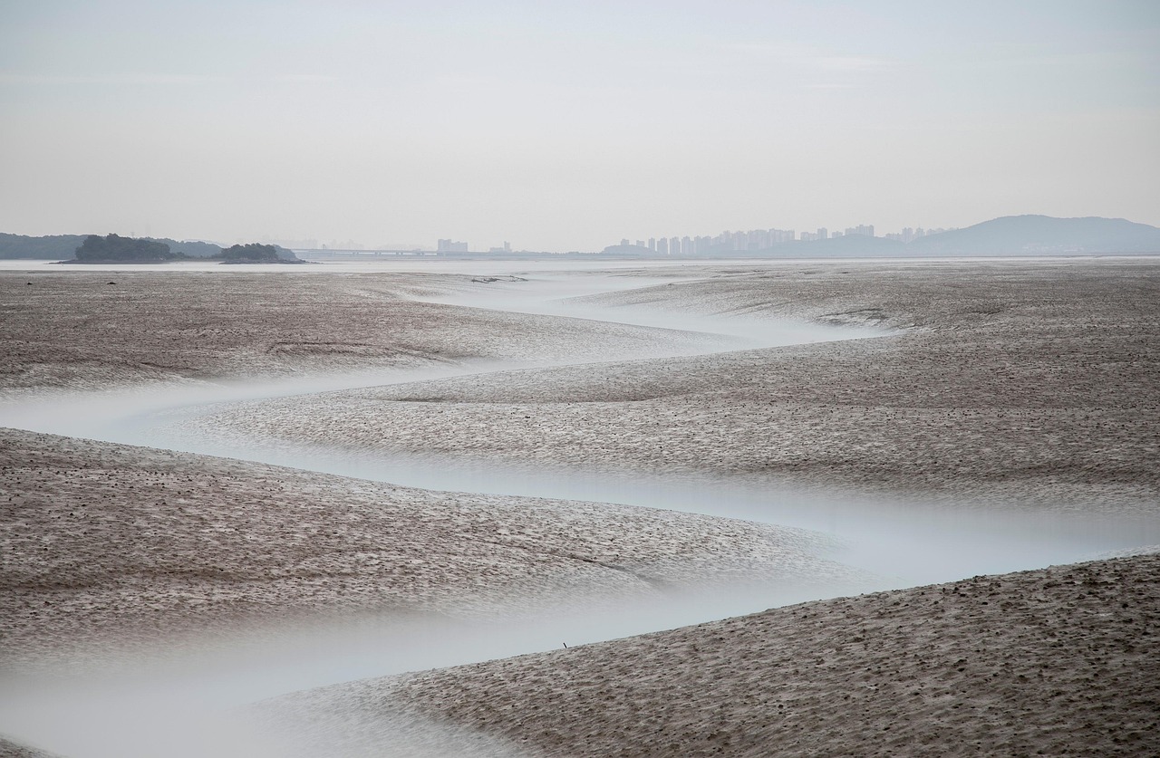 住信SBIネット銀行の目的別口座を利用した同棲生活のメリットは？
