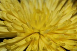 同棲生活に最適な口座開設ができるおすすめ銀行は？