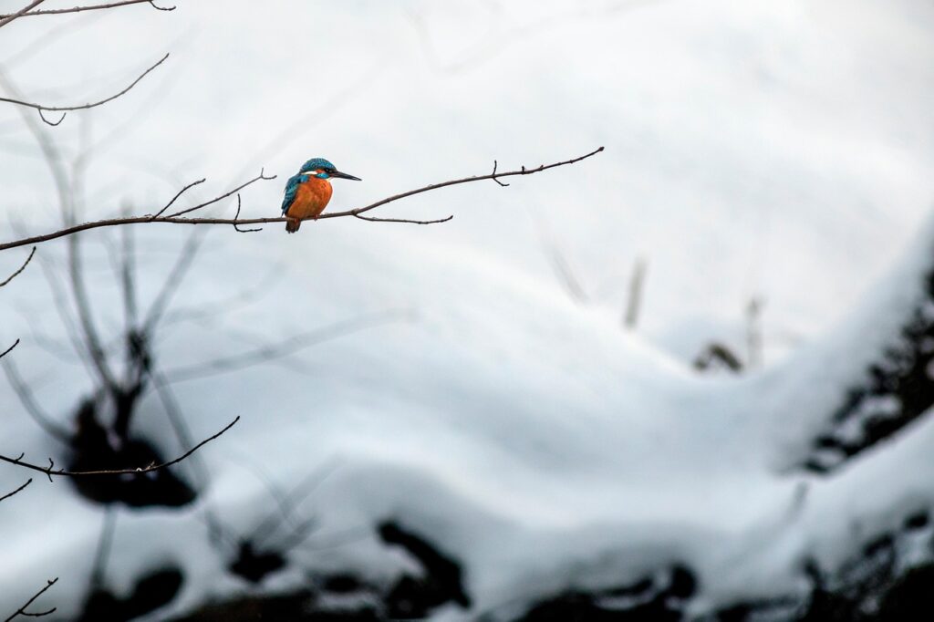 同棲生活で役立つ共通口座のメリットとは？