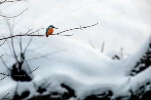 同棲生活で役立つ共通口座のメリットとは？